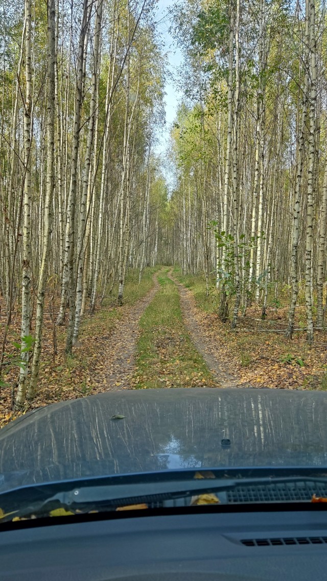 Природа. Урал