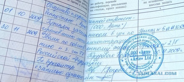 А какая у вас была первая работа?