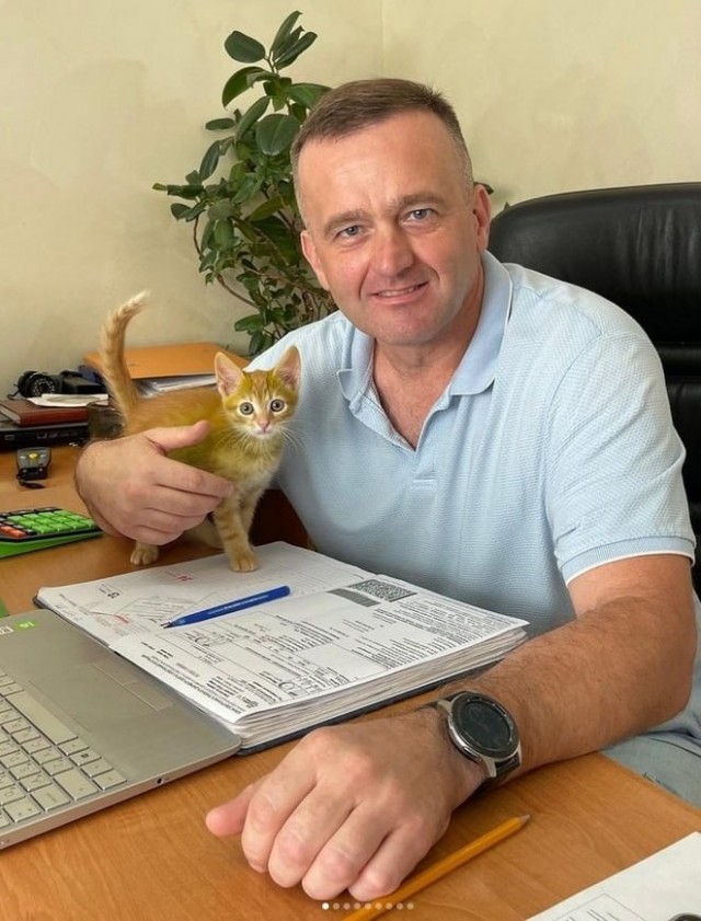 Котёнка с зелёной шерстью нашли в Беларуси
