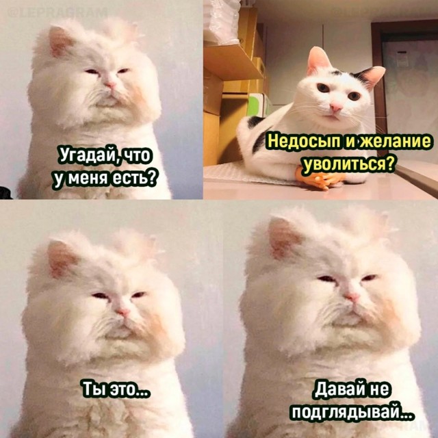 Тлидцать тли пятничные