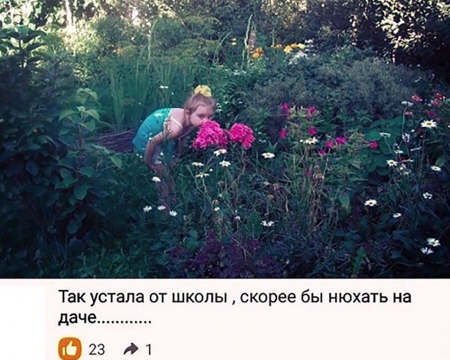 Картинки
