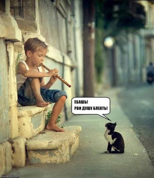 Немного юмора