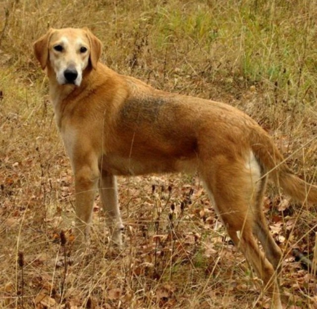 А у Даны д.р. Ей 10 лет!