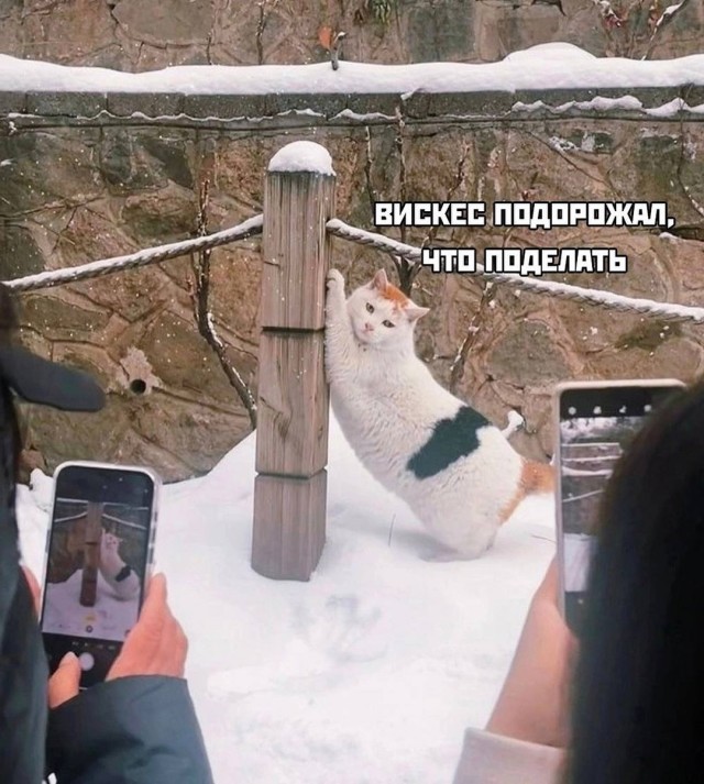 Завалялось тут случайно немного забавных картинок