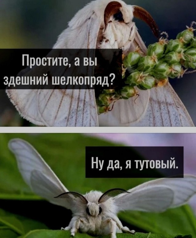 Завалялось тут случайно немного забавных картинок