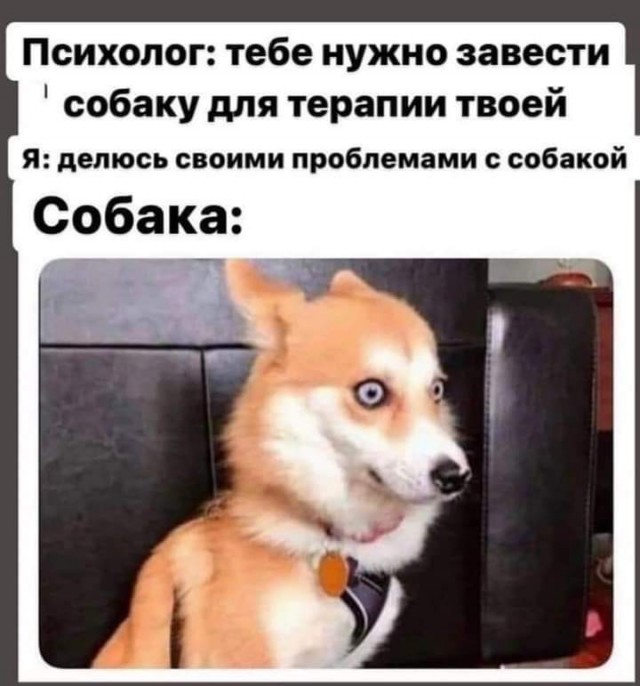 Так себе картинки 02.12.24