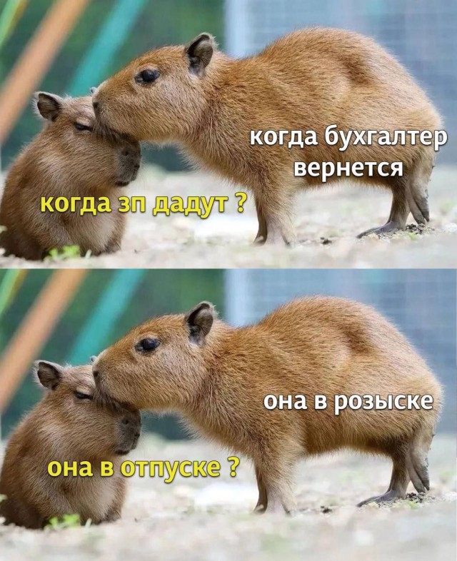Всего понемногу. От 05.01.2025