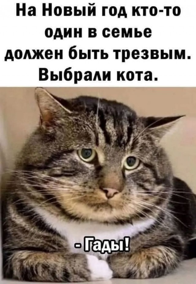 Веселые картинки к маленькой пятнице