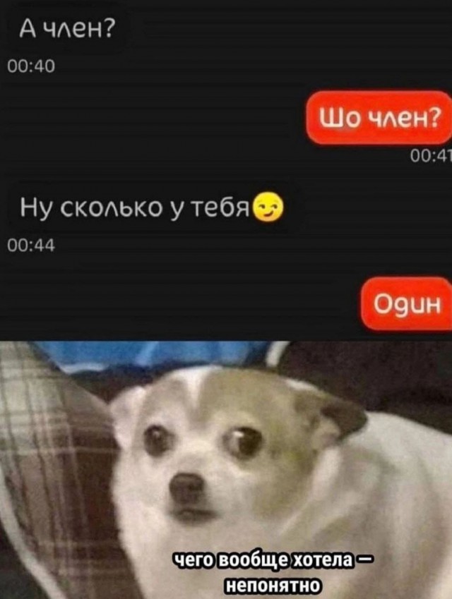 Так себе картинки 30.01.25