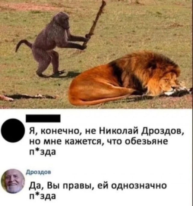 В Петербурге уроженки Дагестана избили палками старшего лейтенанта полиции.