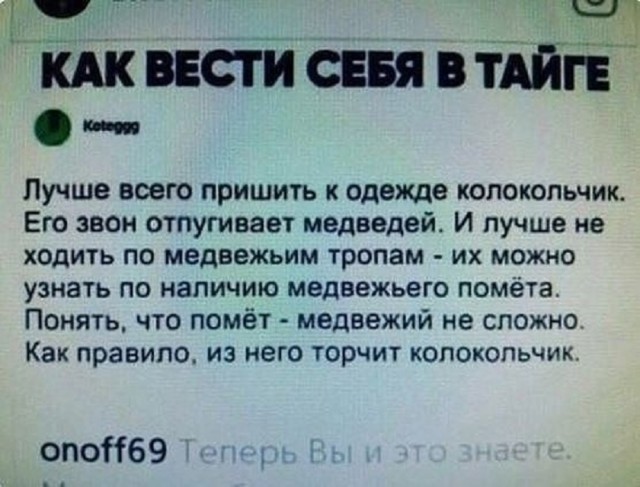 Так себе картинки 13.05.25
