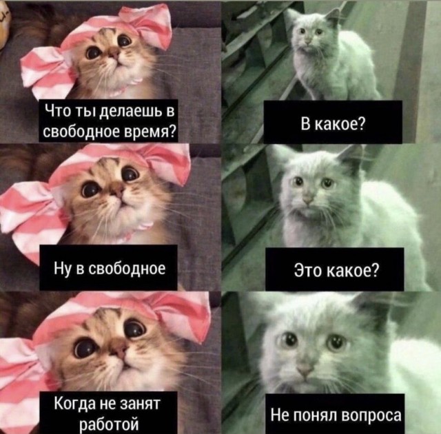 О помощи родителям девушки...