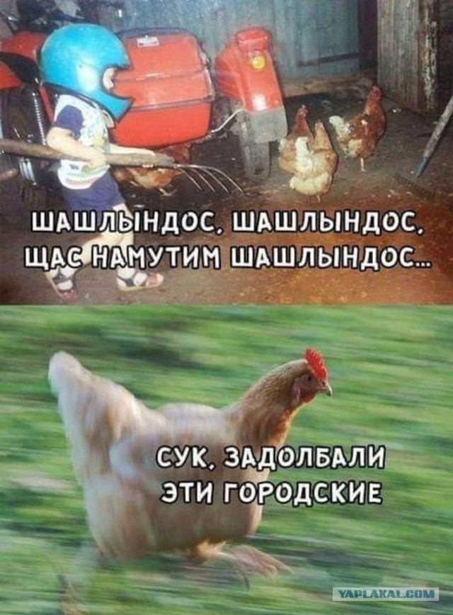 Деревня
