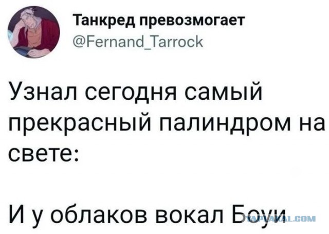 Нуштош 15.08.2025. В доме горит свет (s4e7)