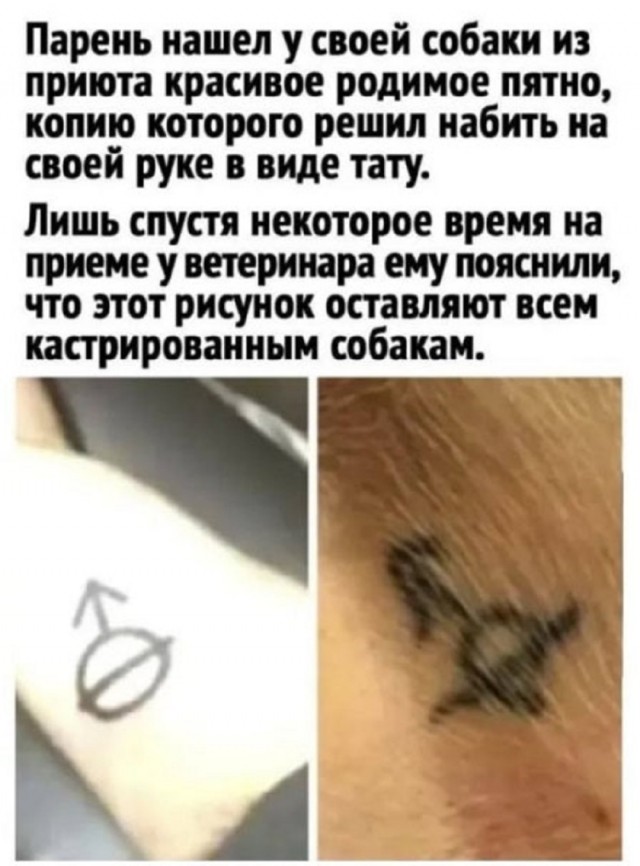 Так себе картинки 18.08.25