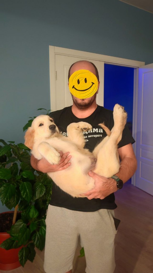 Устроились уютненько