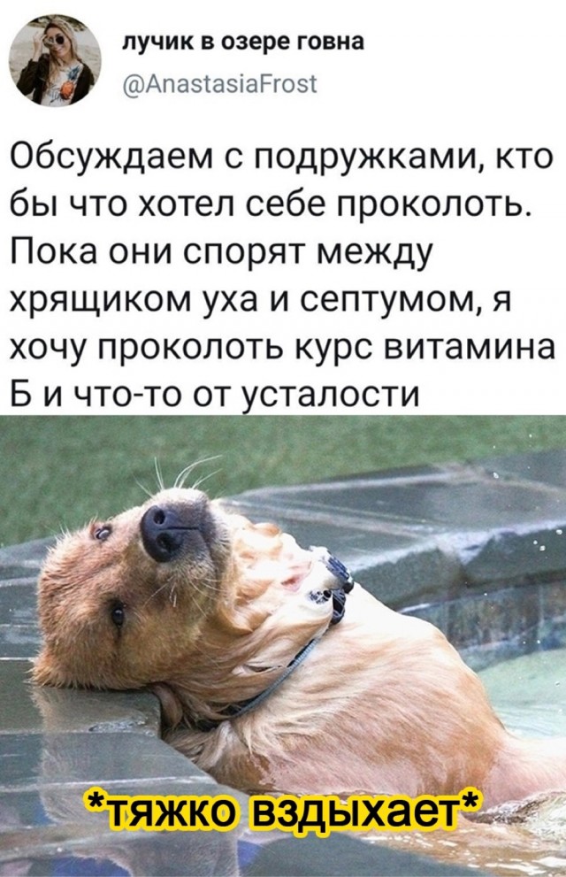 Картинки для деградации 53 (разной степени свежести)
