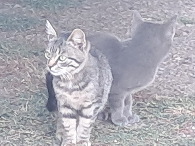 Был давеча в области.