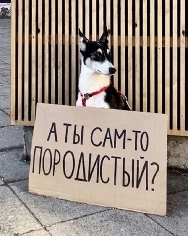 Веселое настроение в картинках (17.10.2025)