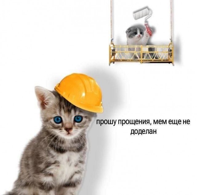 Картинки среды