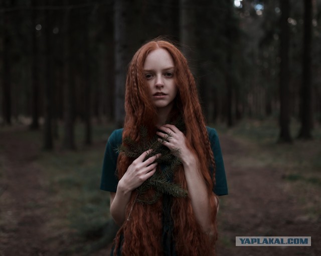 Любимицы солнца! 12.11.2025