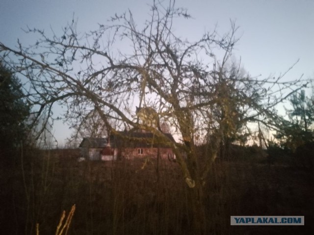 Жизнь домашнего приюта для котеек 567