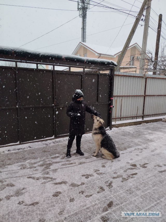 Всех с собакочетвергом.