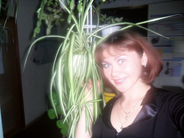 Пятничные Дамы.