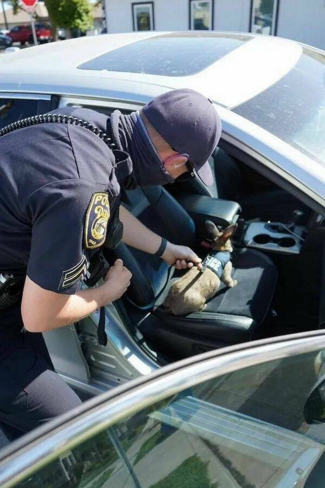 Прикольные и просто красивые картинки 15.05.2026