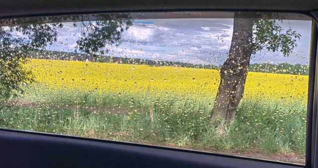 Смотри на небо