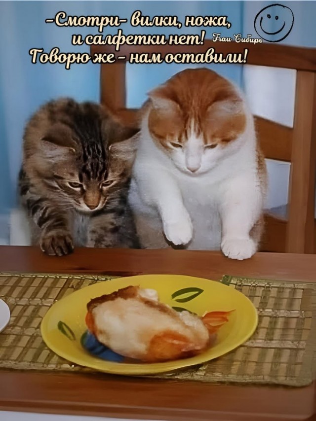 Прикольные и просто красивые картинки 01.09.2026