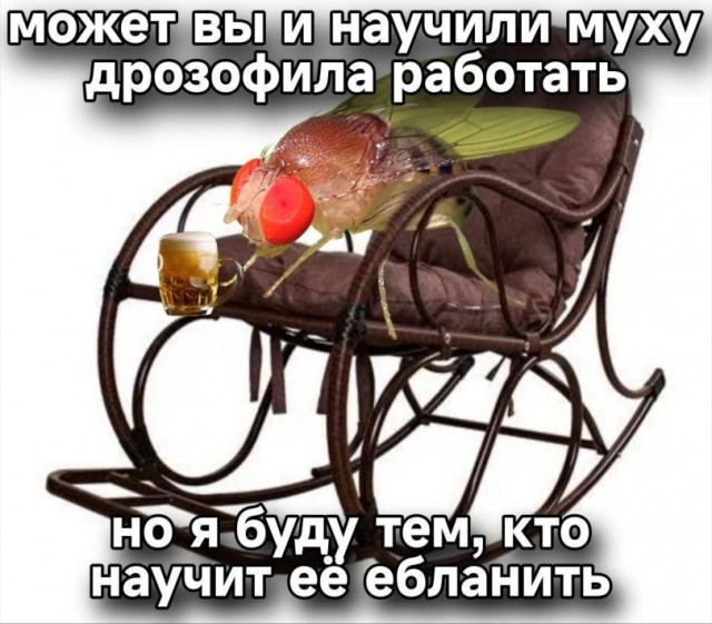 Капля юмора дальше...