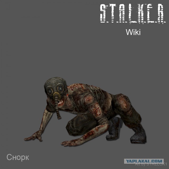 Суровый аттракцион: краповый берет 2014