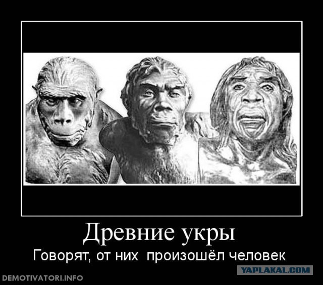 Тойоту создали украинцы