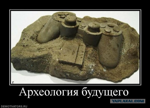 Бурятия. Неожиданная находка клада: речной кот.