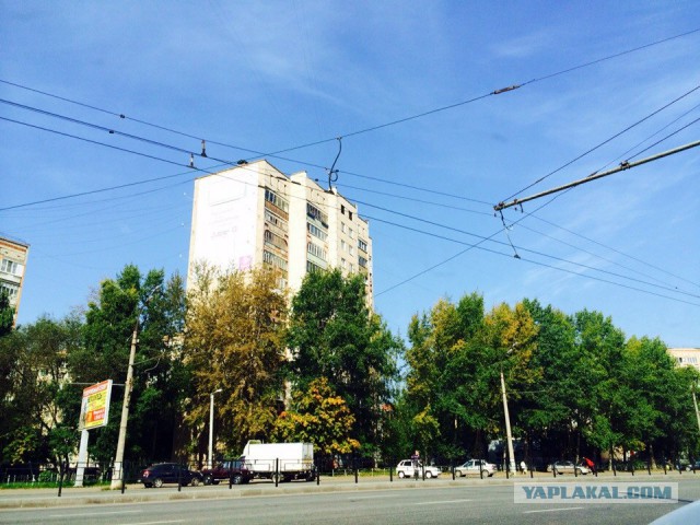 Последнее фото с Вашего телефона.