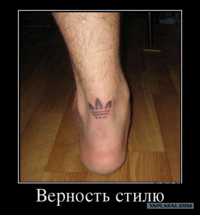 Забавные картинки из Сети