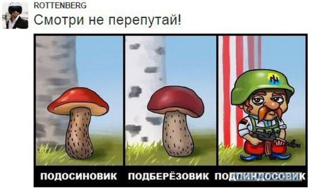 10 политических картинок часть 15
