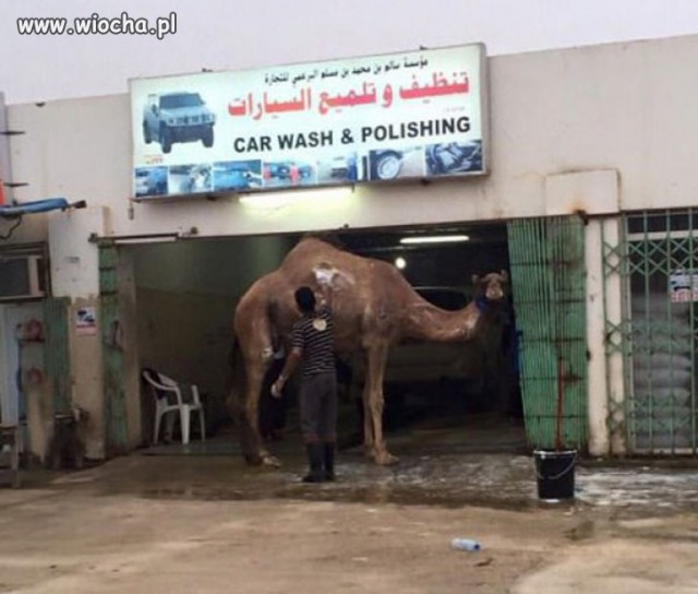 Автоюмор, смекалка, но чаще абсурд
