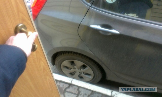 Открываешь дверь парадной и....