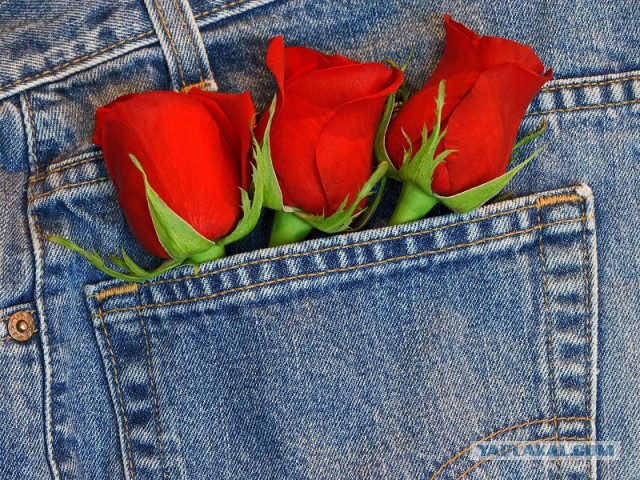 Джинсы навсегда