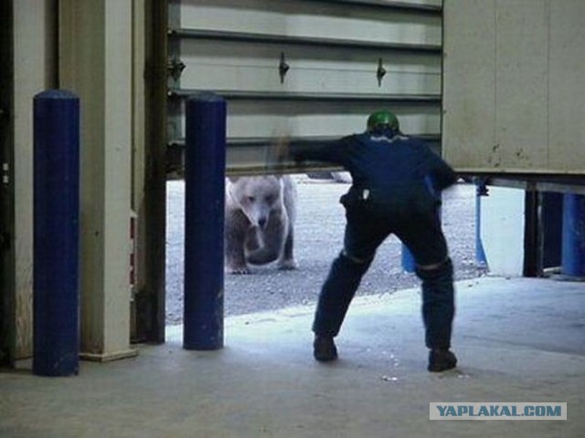 Да что ты знаешь о неудачах...