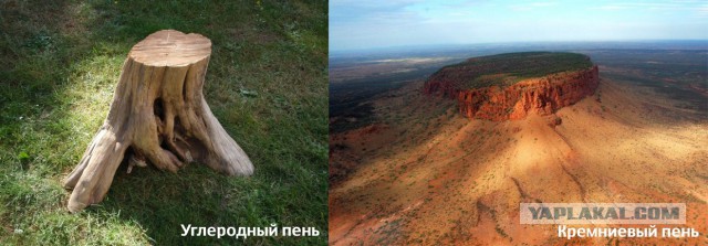 Новая теория эволюции