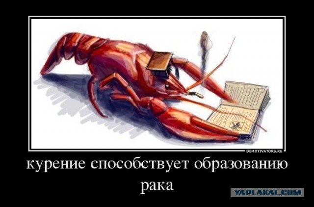 Бесконечное спасибо!