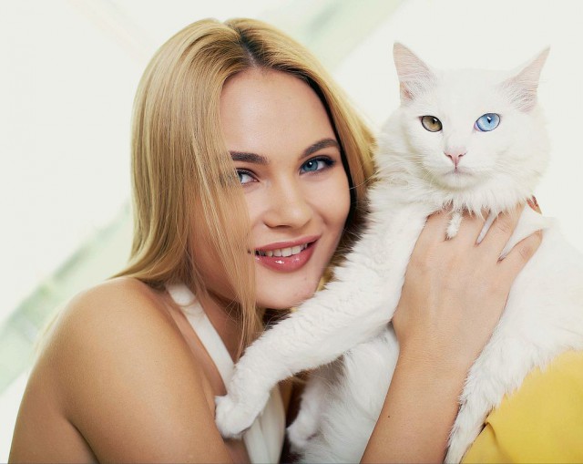 Котовторник!