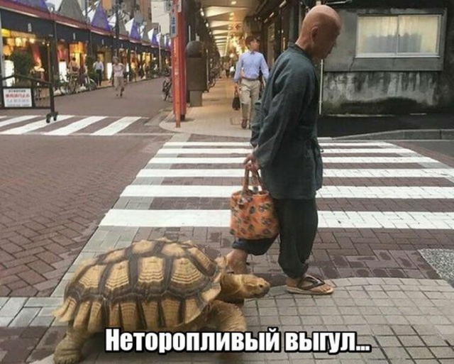 Подборка интересных и веселых картинок 21.02.18