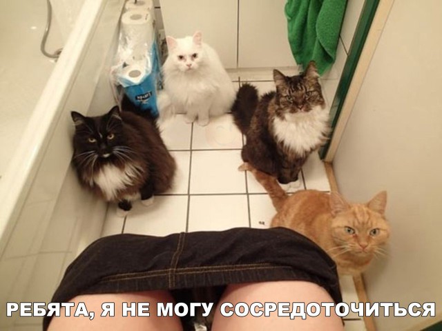 Нестандартный юмор