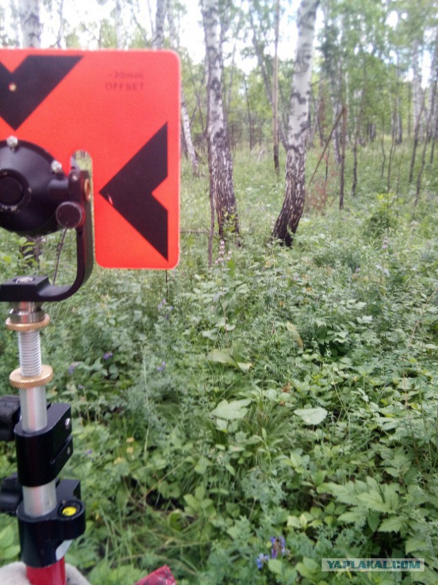 Командировка. В леса