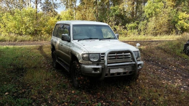 А Вы довольны своим автомобилем?