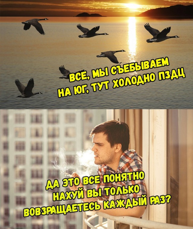 Немного картинок в этот четверг